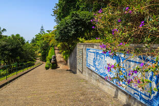 Weg im Botanischen Garten 