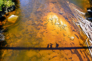 Fluss im Abel Tasman National Park 