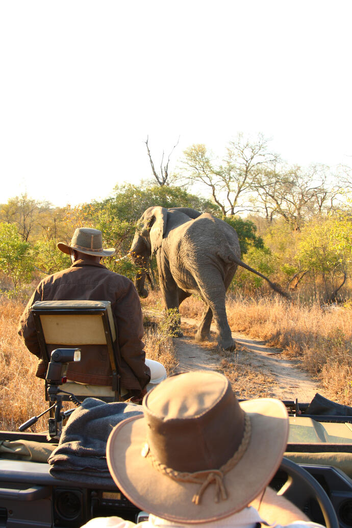 Ranger auf Safari 