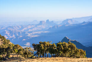 Simien-Gebirge