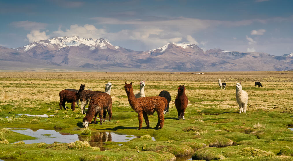 Bolivien Rundreisen