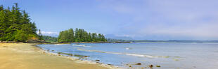 Long Beach Panorama