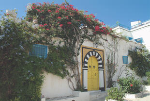 Sidi Bou Said 