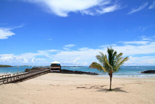 Strand der Galapagos Inseln