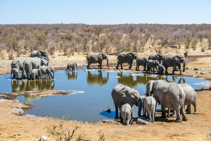 Etosha Nationalpark