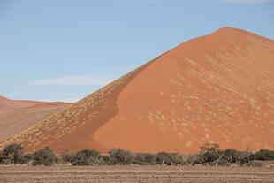 Sandberge von Sossusvlei