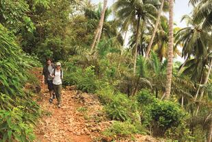 Wandern in der Baracoa Region