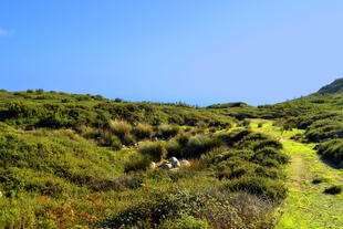 Landschaft Serra de Monchique 