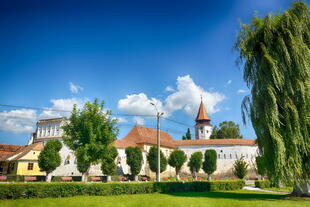 Wehrmauern und Kirche in Tartlau