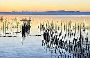 Albufera Naturpark