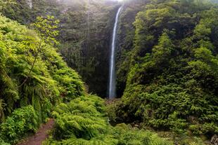 Wasserfall in der Levada von Caldeirao Verde