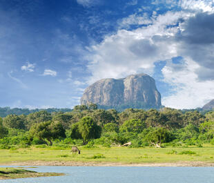 Yala Nationalpark