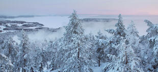 Ausblick vom Berg 