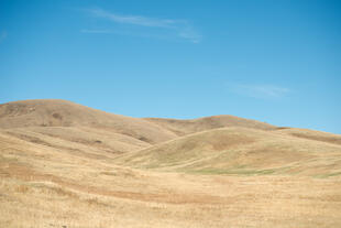 Hustai Nationalpark