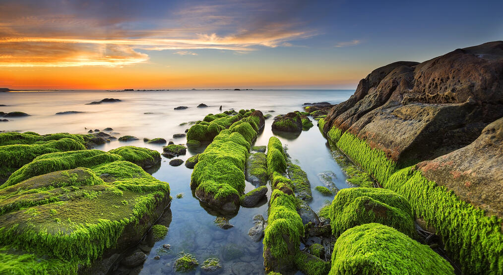 Moosbewachsene Felsen an Strand in Sabah 