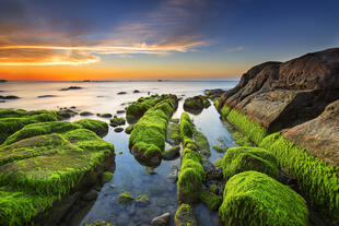 Moosbewachsene Felsen an Strand in Sabah 