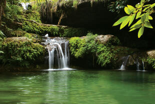 Natuerlicher Pool 