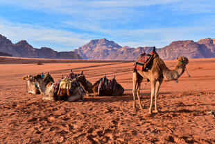 Wadi Rum