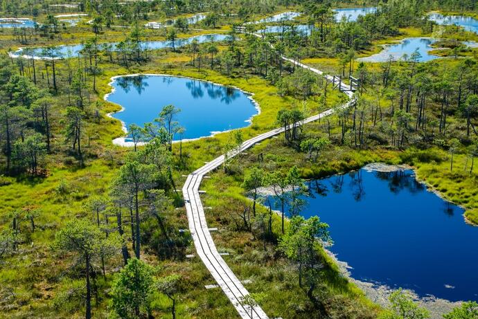 Bog Trail Nationalpark