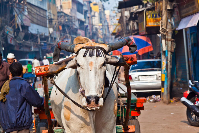 Delhi, die Hauptstadt Indiens