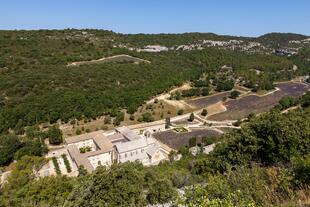 Senanque Panorama