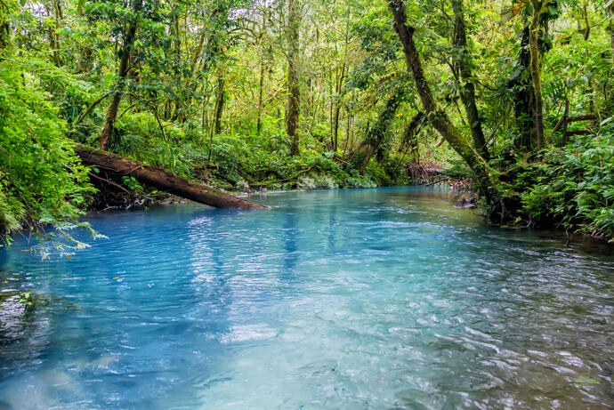 Tenorio National Park Fluss