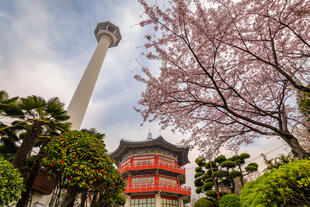 Busan Tower