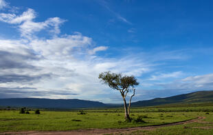 Masai Mara Nationalpark