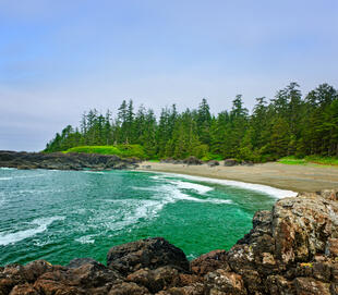 Pacific Rim National Park