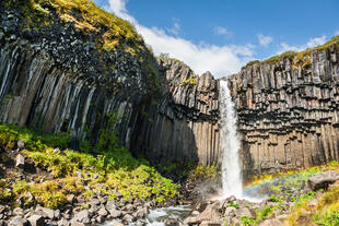 Svartifoss