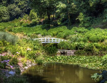 Brücke im Trebah Garden