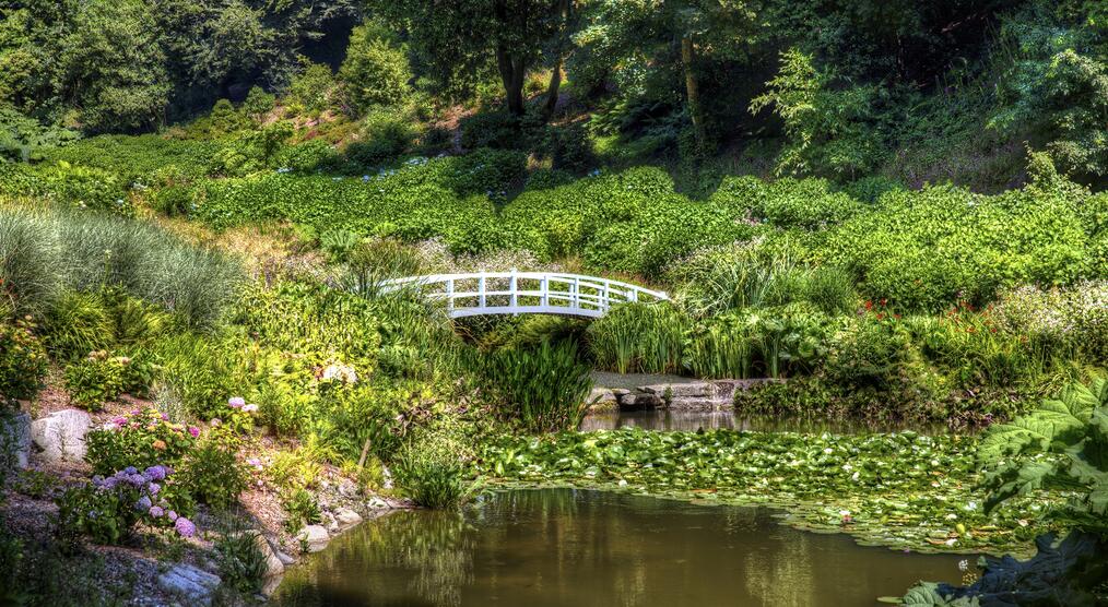 Brücke im Trebah Garden