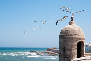 Essaouira 