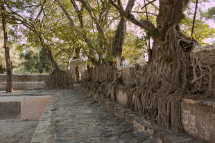 Gondar Bad des Fasilidas