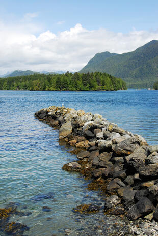 Tofino