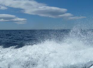 Beim Bootsausflug