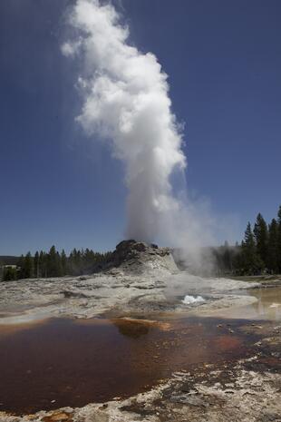 Geysir im Yellowstone-Nationalpark