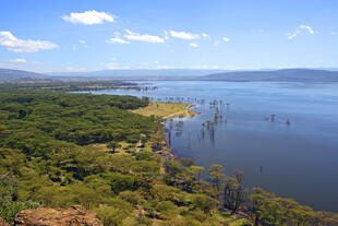 Nakurusee