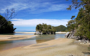 Strand im Abel Tasman National Park 