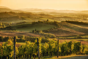 Sonnenuntergang über dem Chianti-Gebiet