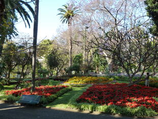 Park in Funchal