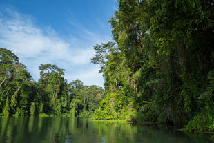 Tortuguero National Park