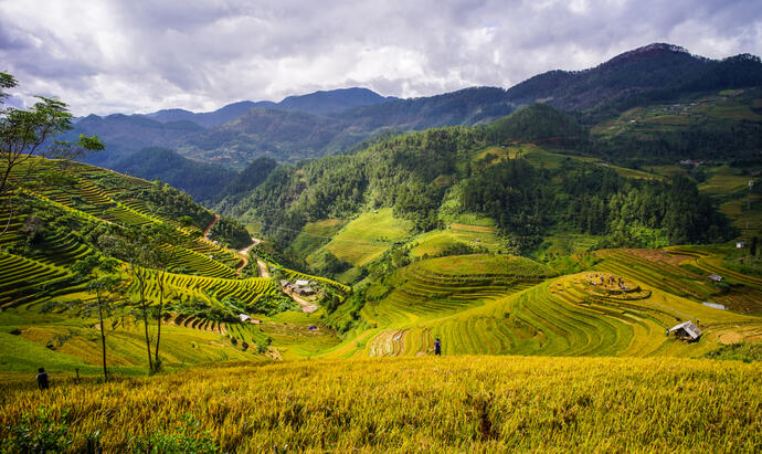 Mai Chau 