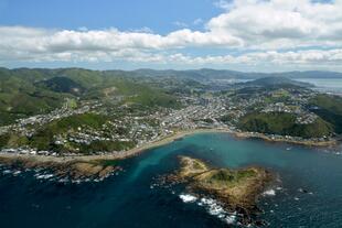 Luftansicht Wellington von der Island Bay