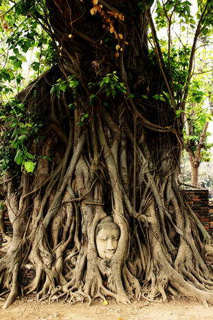 Ayutthaya