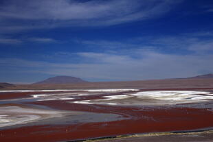 Laguna Colorada