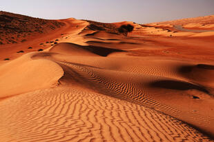 Landschaft in Wahiba Sands