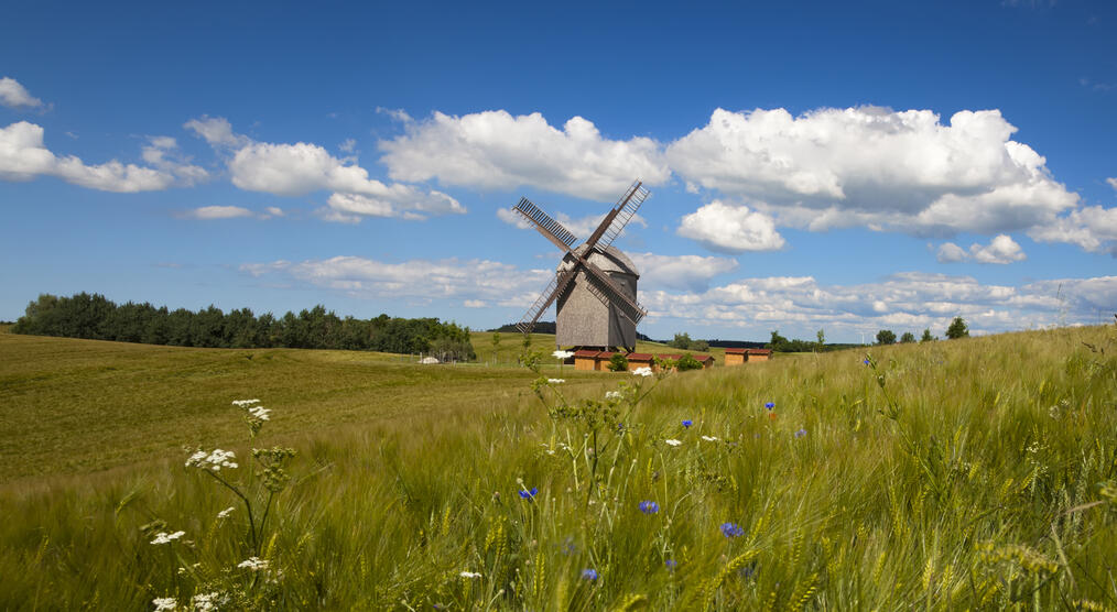 Windmühle