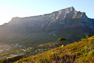 Blick auf den Tafelberg