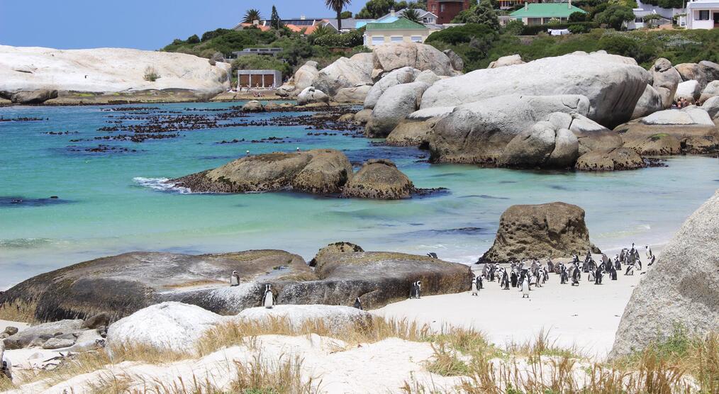 Boulders Beach Blick auf Simons Town